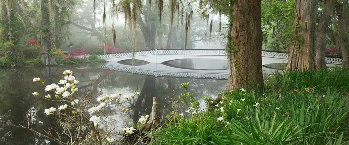 Foto 3 Magnolia Plantation & Gardens