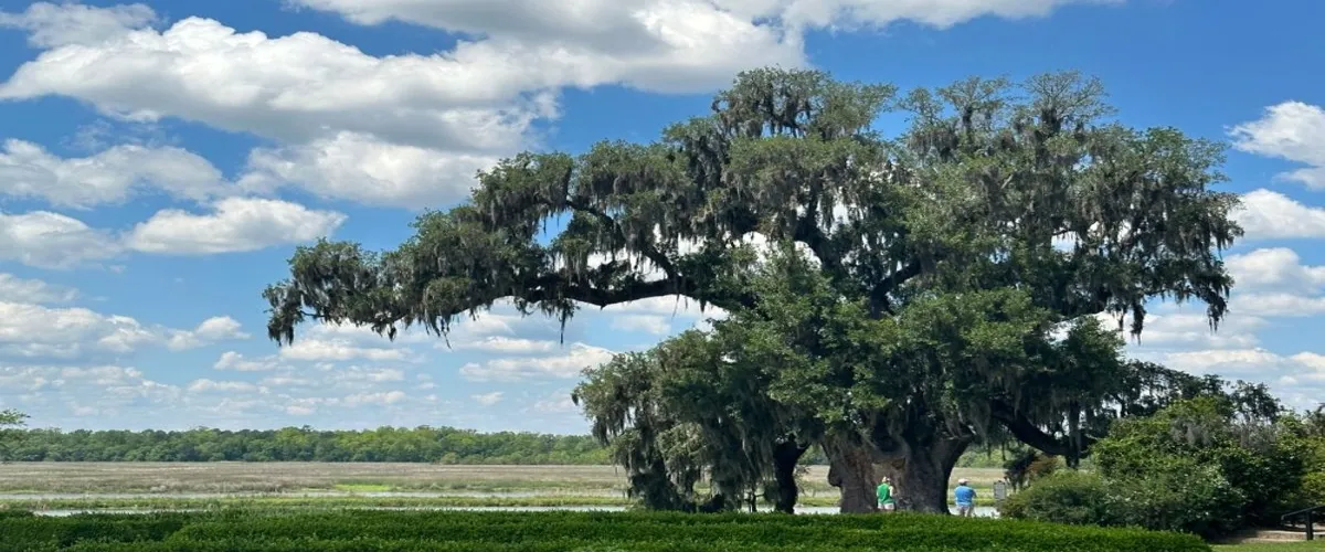Foto 4 Middleton Place