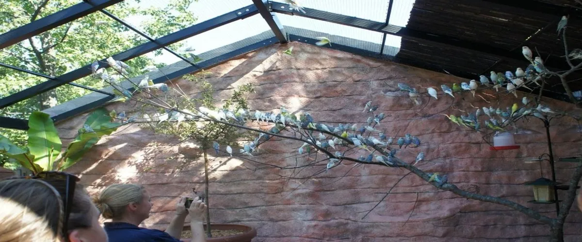 Foto 4 Peoria Zoo