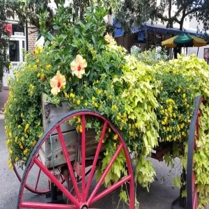 Foto de City Market