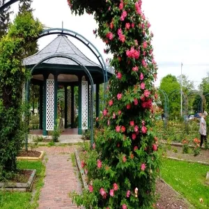 Foto de E.MMills Rose Garden