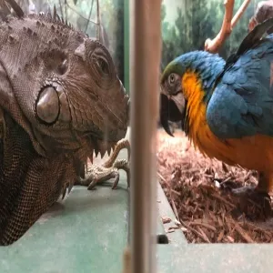 Foto de Kaleideum North