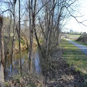 Foto de Muddy Creek Greenway