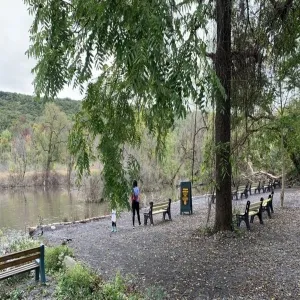 Foto de Webster Pond