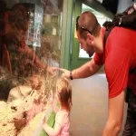 Foto 3 Kaleideum North