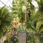 Foto 4 Luthy Botanical Garden