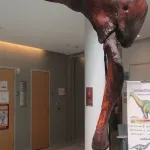 Foto 4 Mace Brown Museum of Natural History