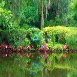 Foto 1 Magnolia Plantation & Gardens