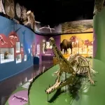 Foto 4 The Charleston Museum